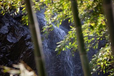 《与狼同行2》新游戏截图公布 发售日期待定